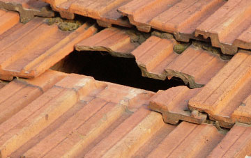 roof repair Whitebridge, Highland